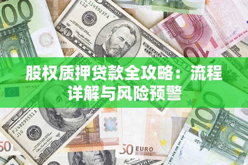 北京股权质押贷款全攻略：流程详解与风险预警