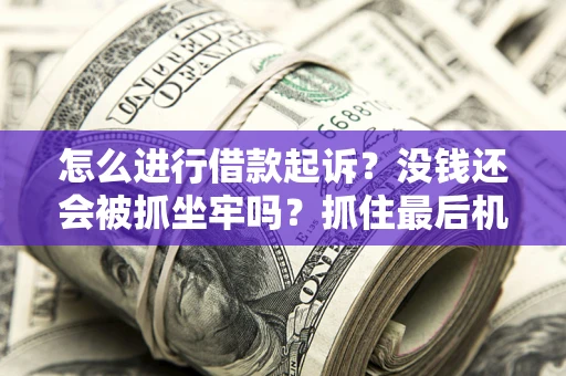 北京怎么进行借款起诉？没钱还会被抓坐牢吗？抓住最后机会！