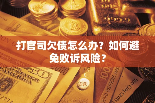 北京打官司欠债怎么办？如何避免败诉风险？