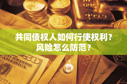 北京共同债权人如何行使权利？风险怎么防范？