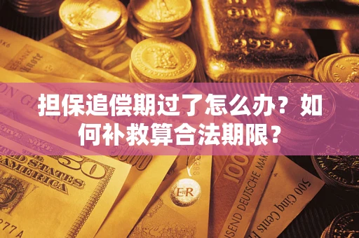 北京担保追偿期过了怎么办？如何补救算合法期限？