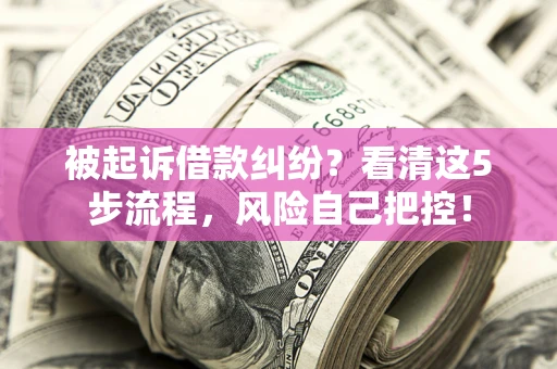 北京被起诉借款纠纷？看清这5步流程，风险自己把控！